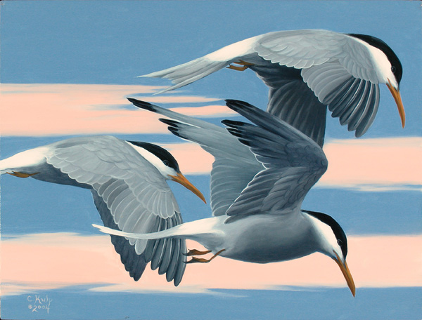Flying Terns